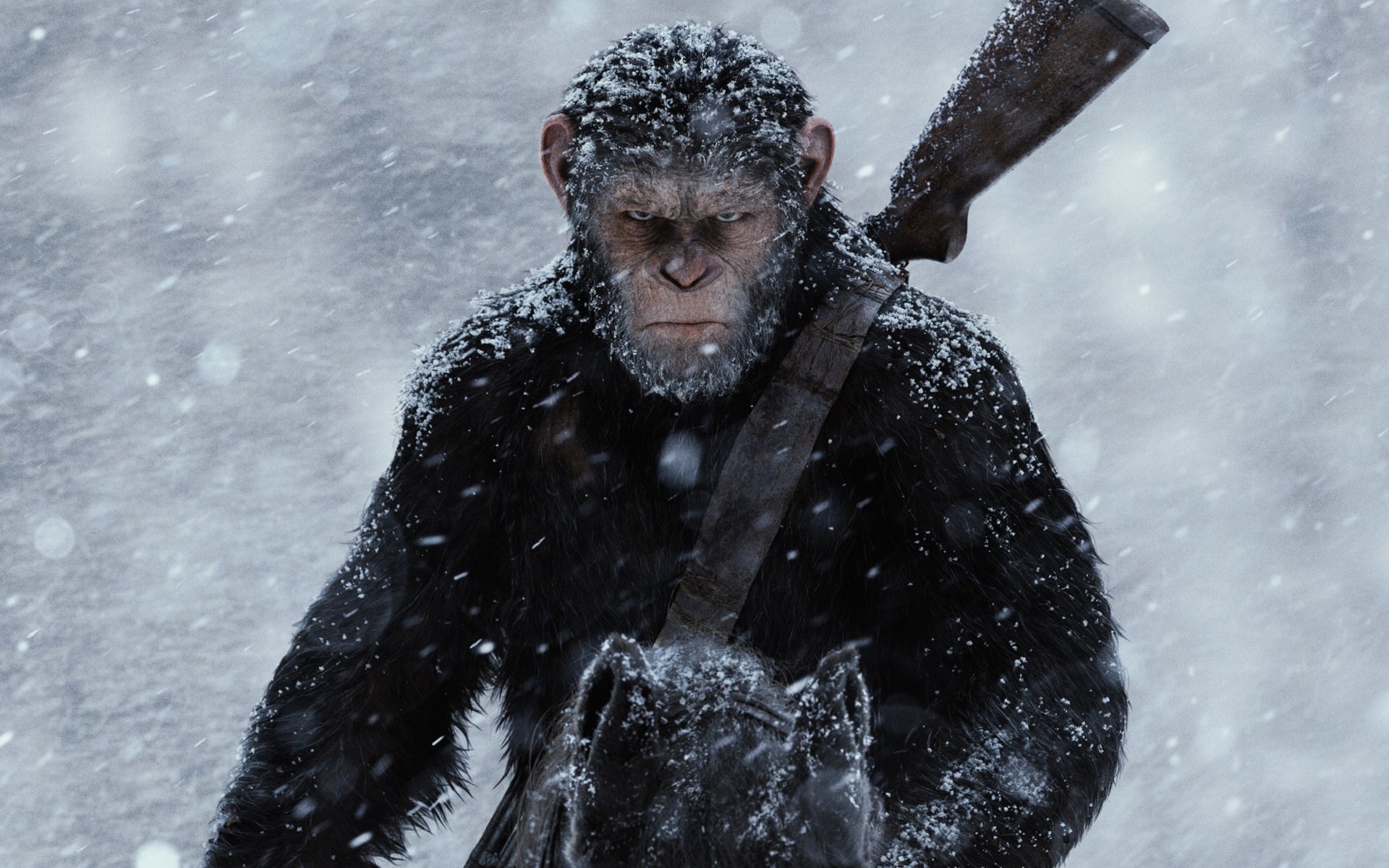 movie War For The Planet Of The Apes Image