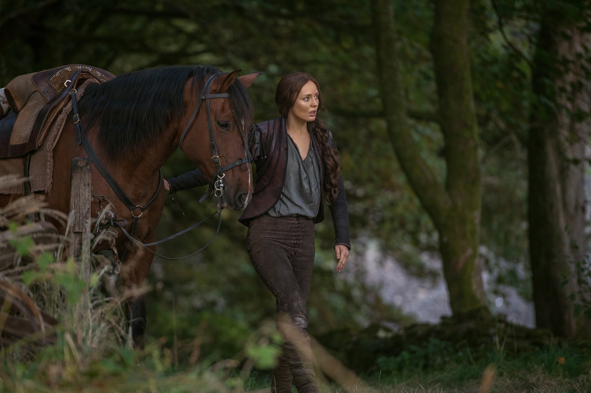 TV Show Da Vinci's Demons Image