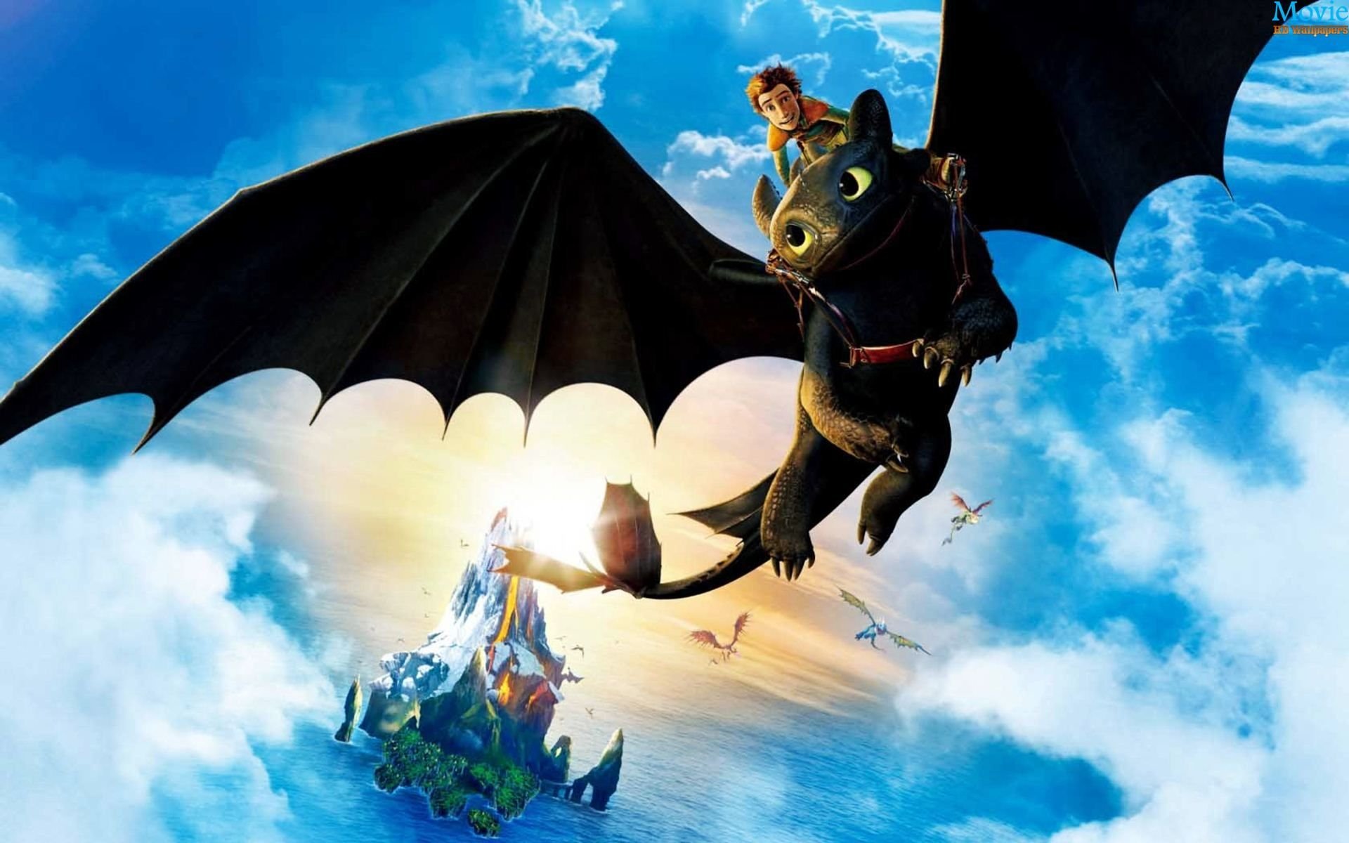 Download Movie How To Train Your Dragon Image