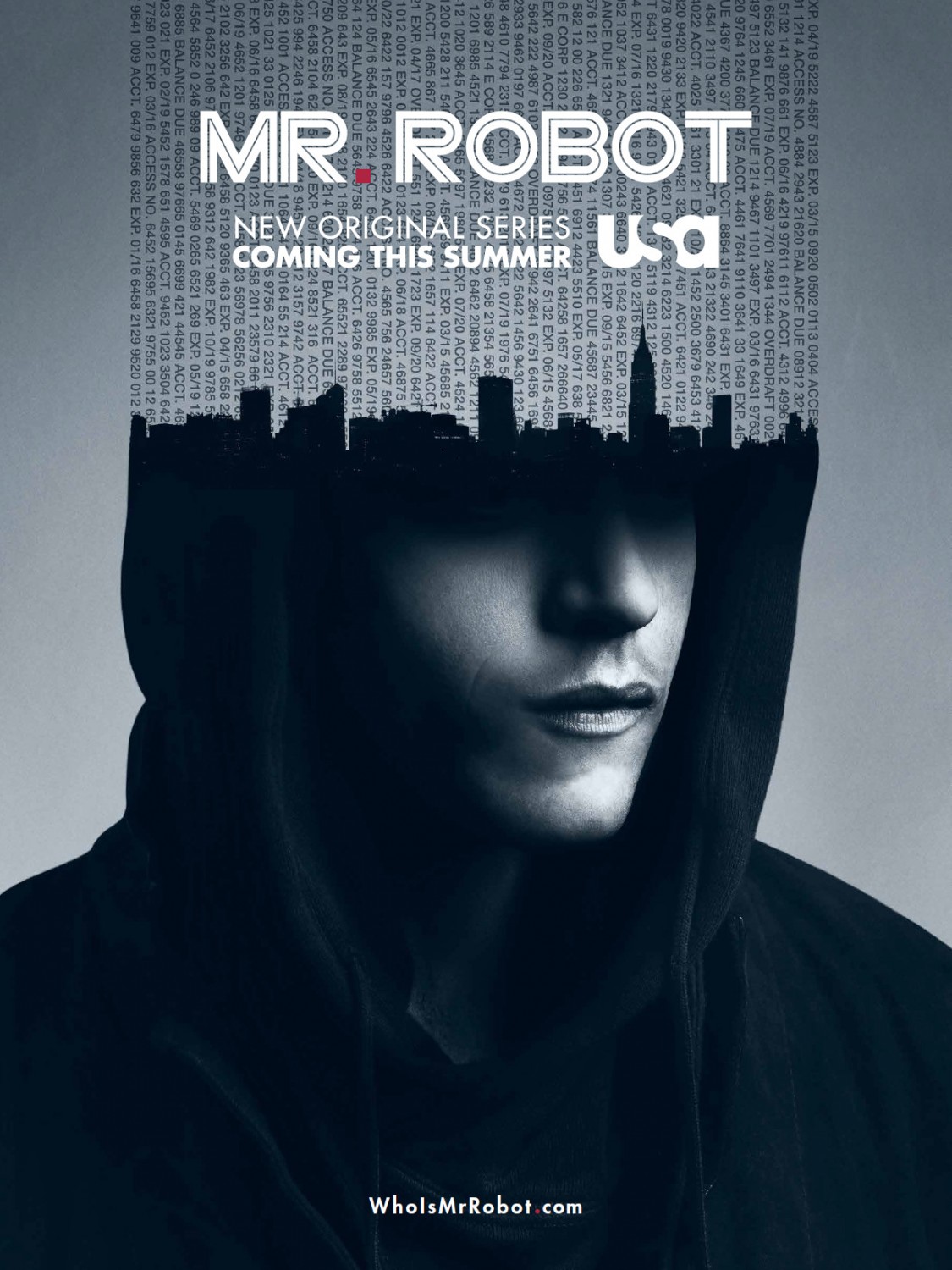 Mr. Robot Picture