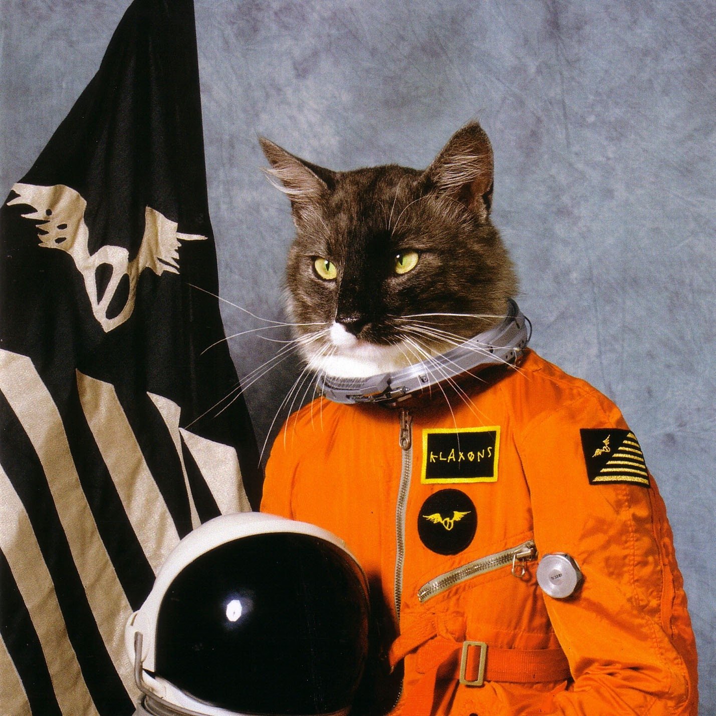 Tabby cat in an orange astronaut suit holding a helmet beside a black flag, album-style music image referencing the band Klaxons.