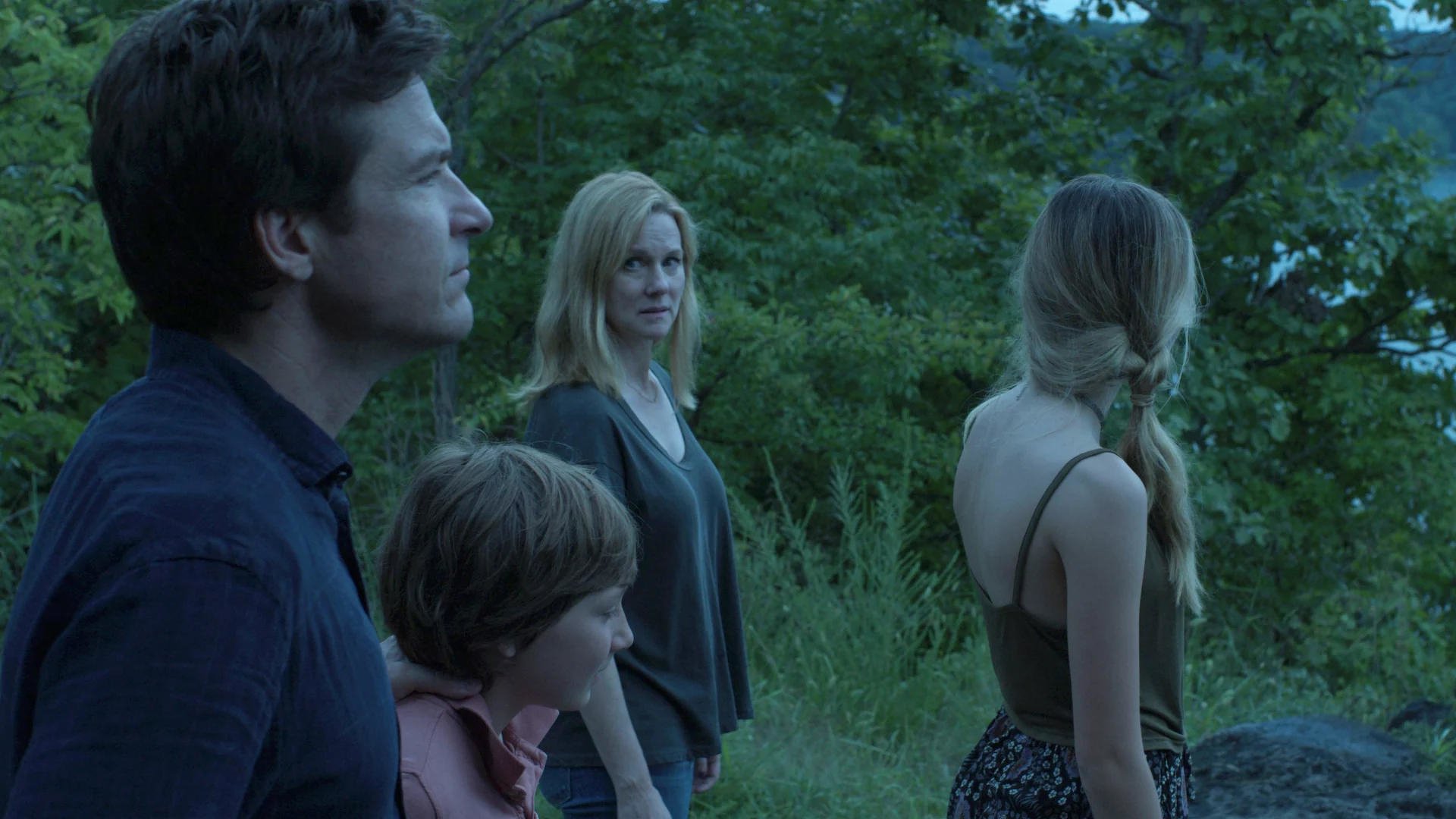 TV Show Ozark Image