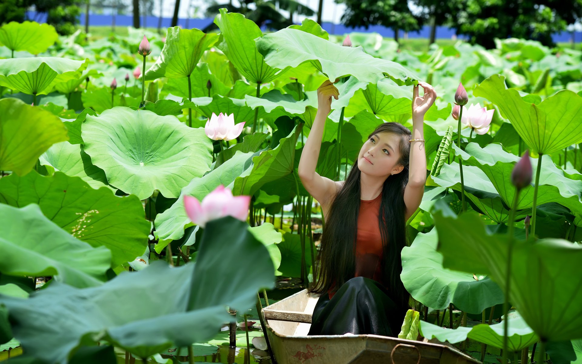 Download Lotus Woman Asian Image
