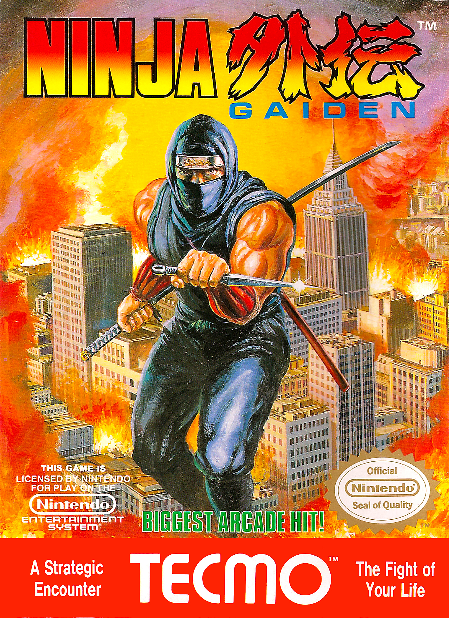 video game Ninja Gaiden Image