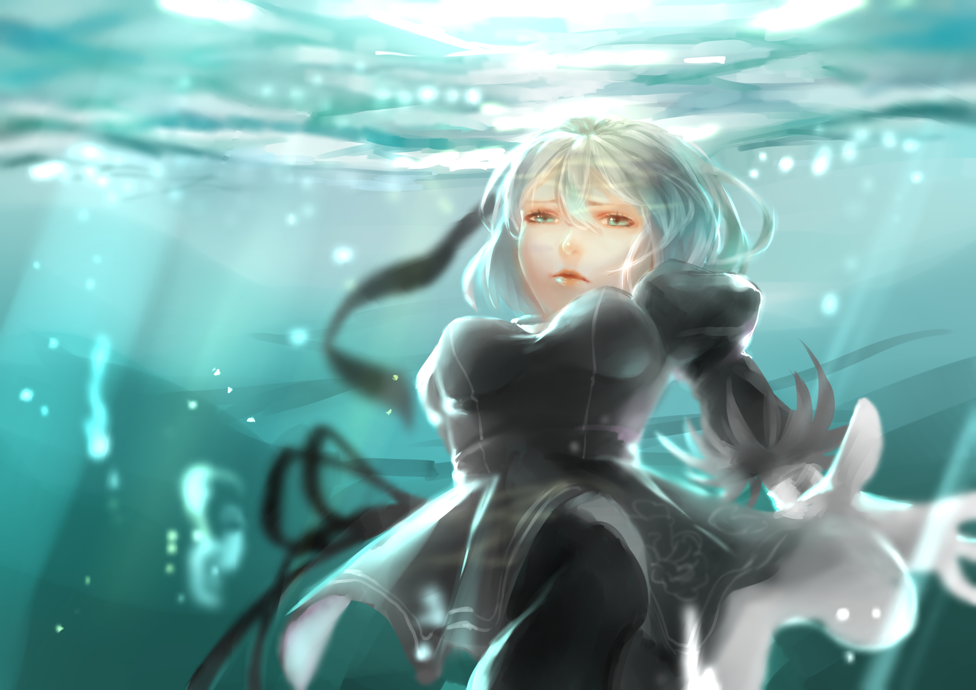 video game Nier Image