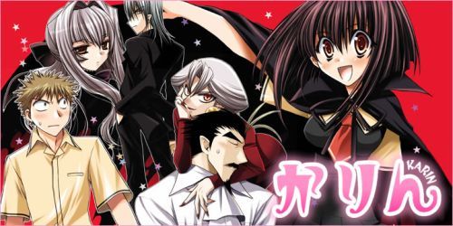 Karin (aka Chibi Vampire.) | Blood anime, Anime chibi, Romantic anime