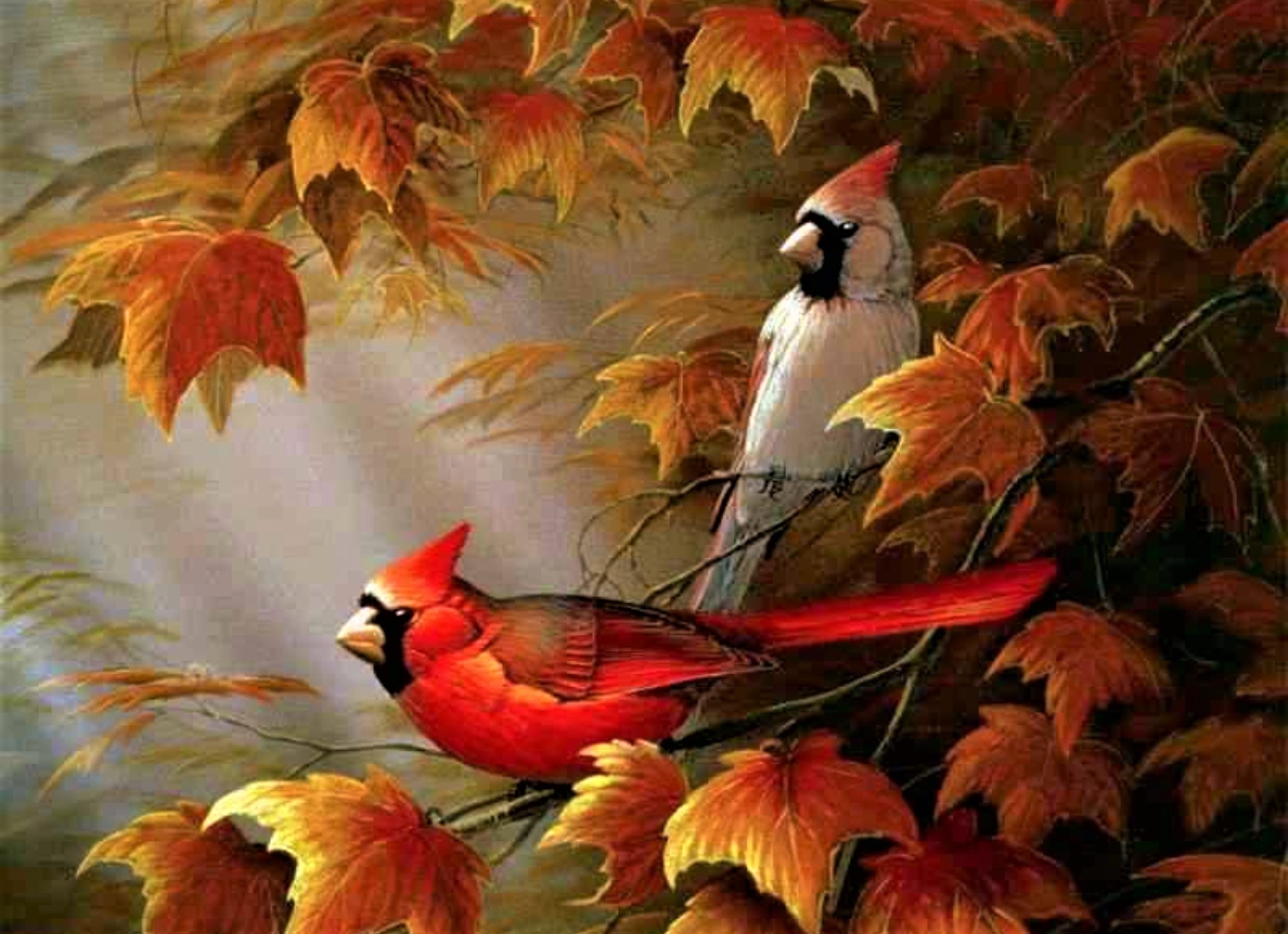 Male and Female Cardinal in Autumn Tree