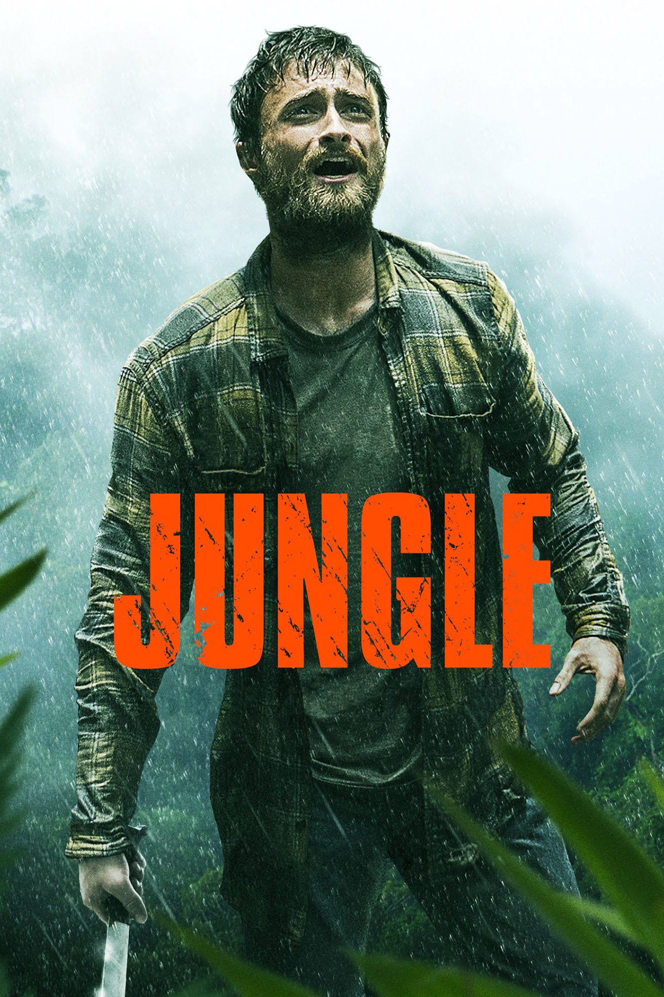 Jungle Picture