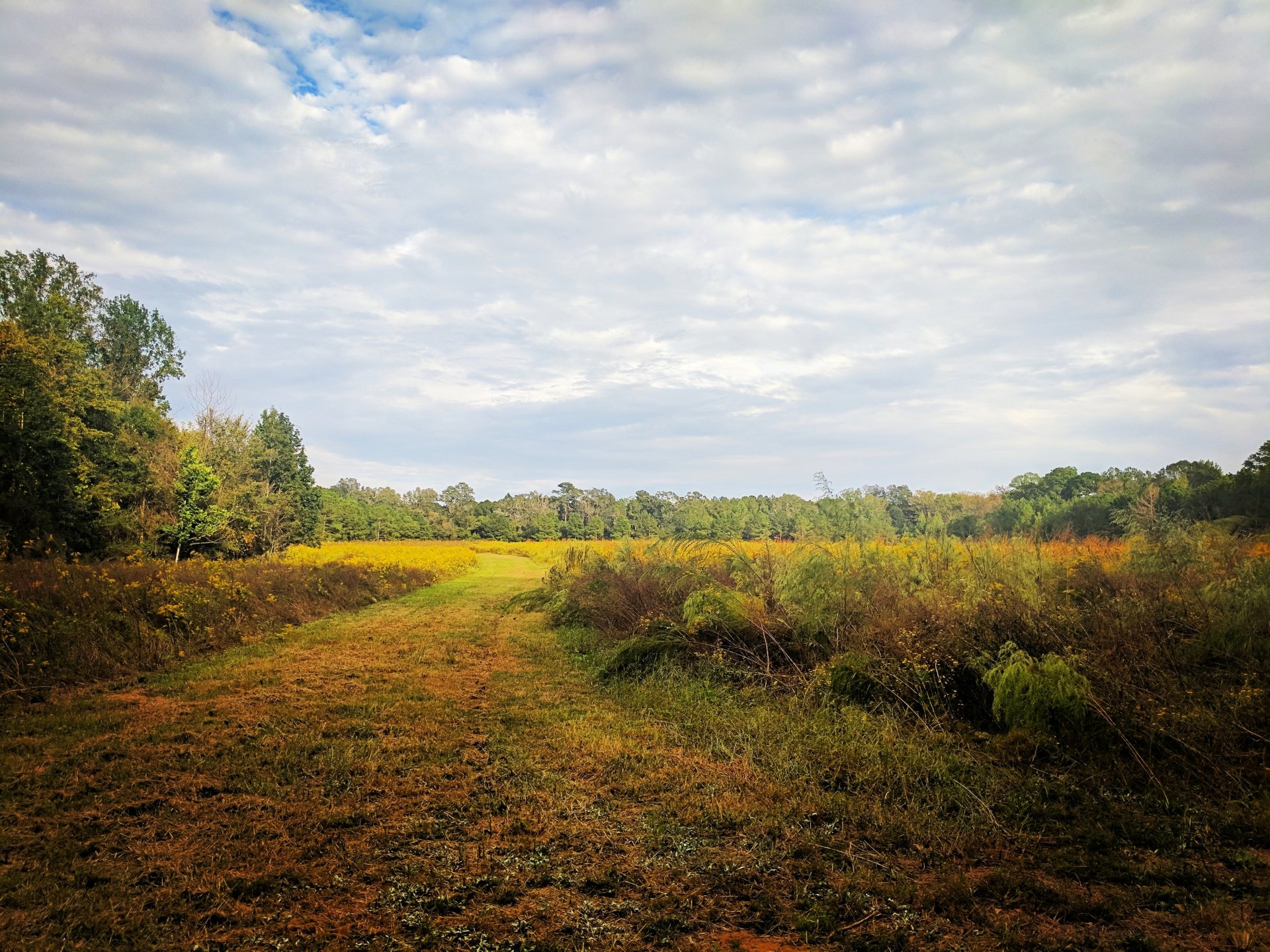  Field at the Penahachee