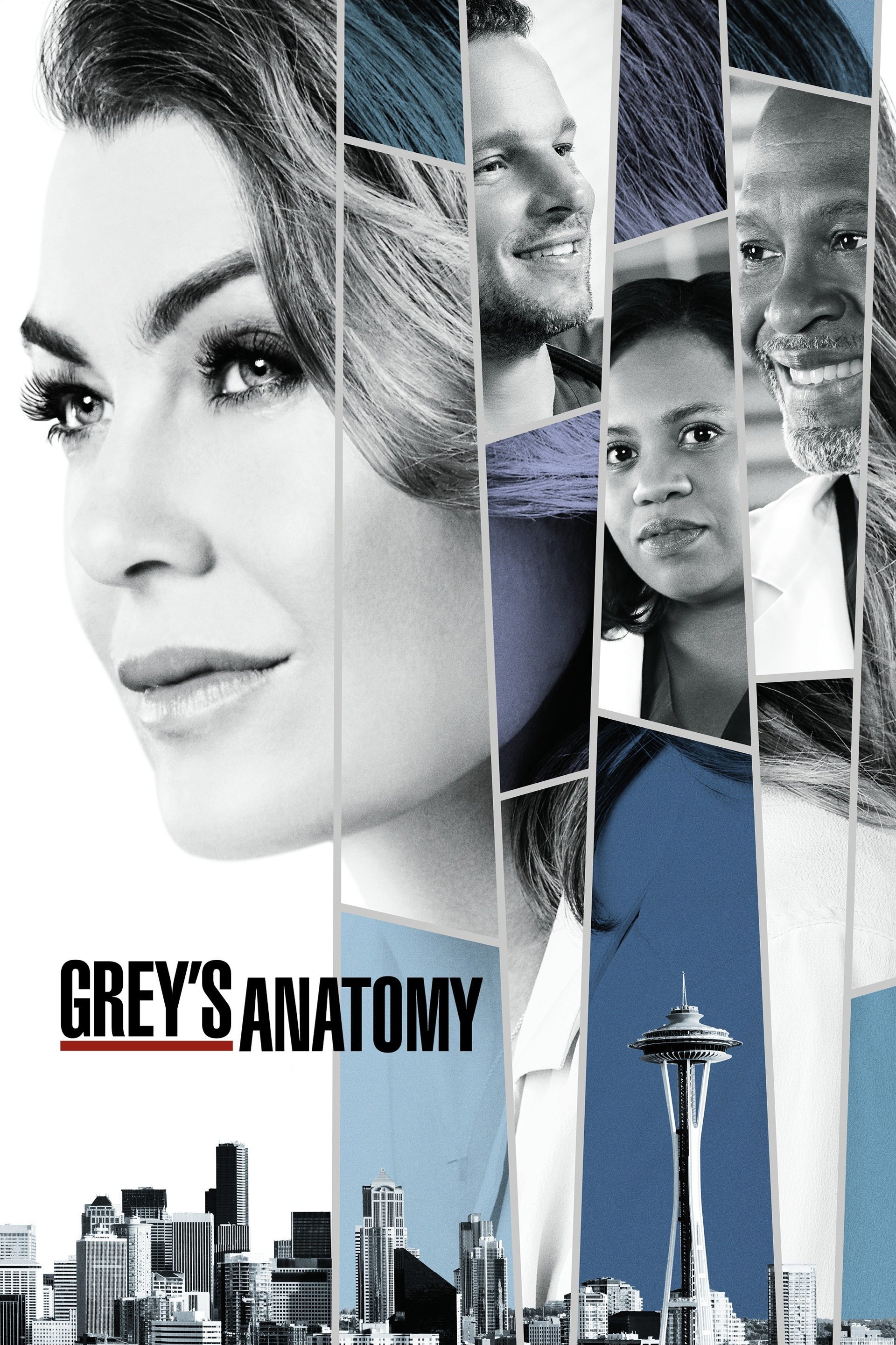 Grey's Anatomy TV Show Poster ID 161872 Image Abyss
