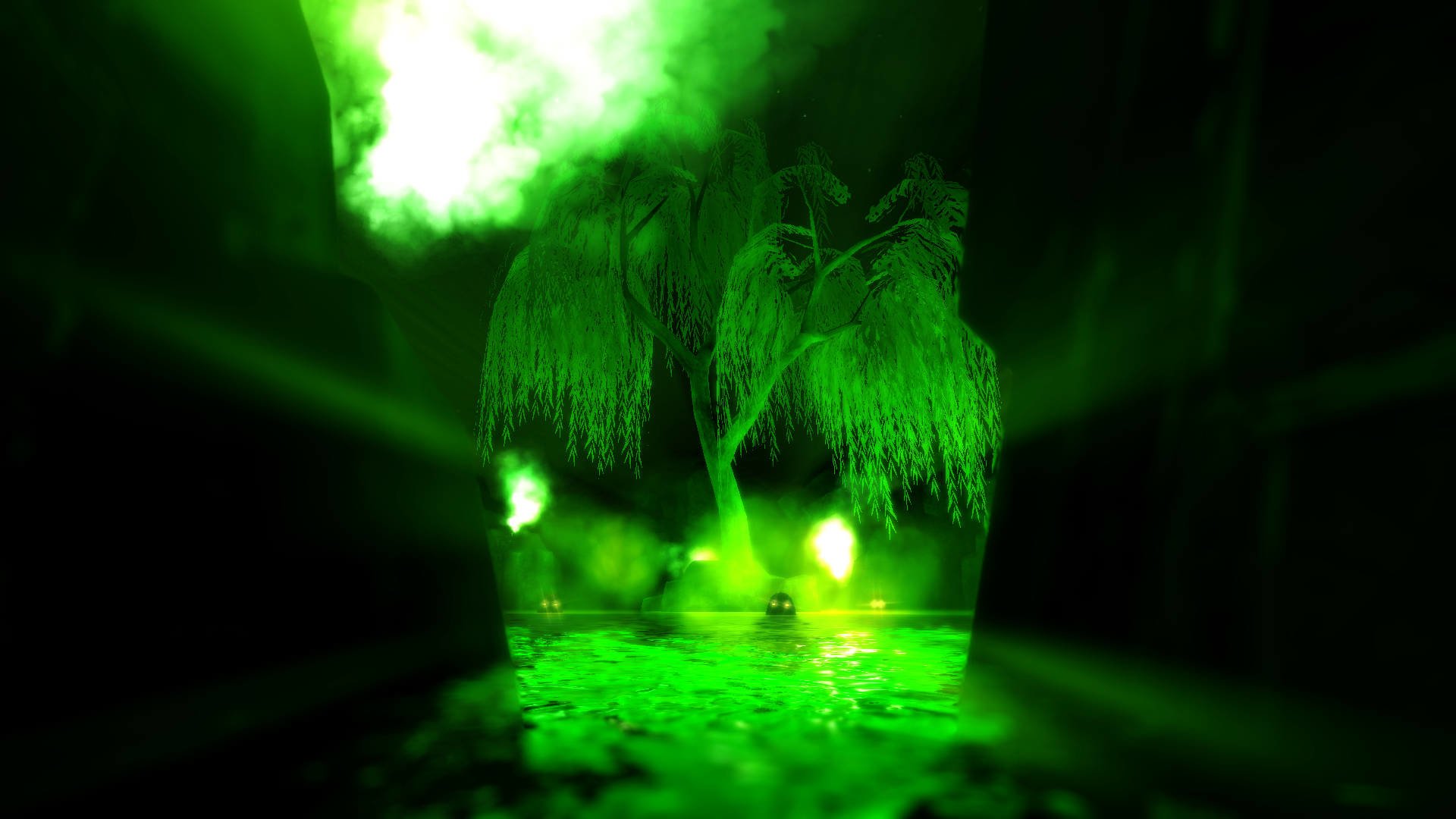  The Magic Tree Infected