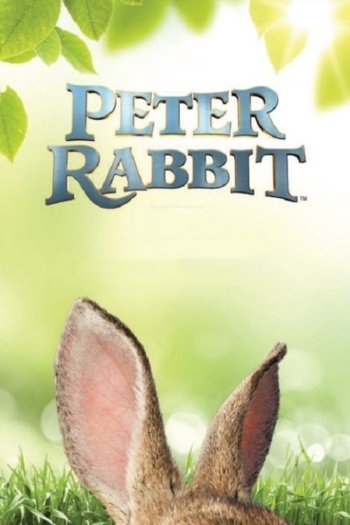 5 Peter Rabbit Pictures - Image Abyss