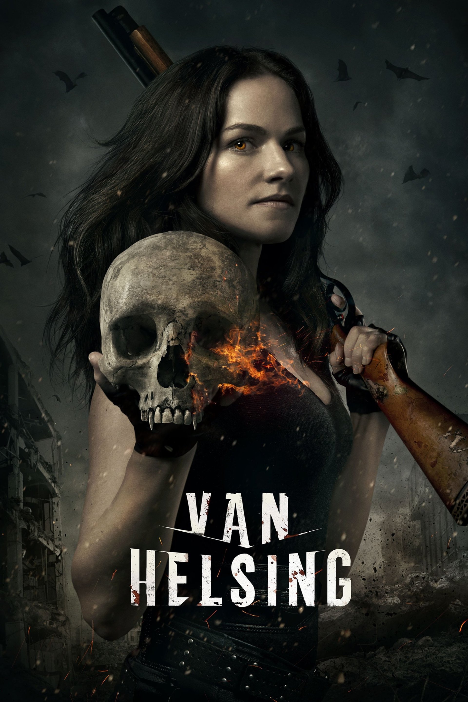TV Show van helsing Image