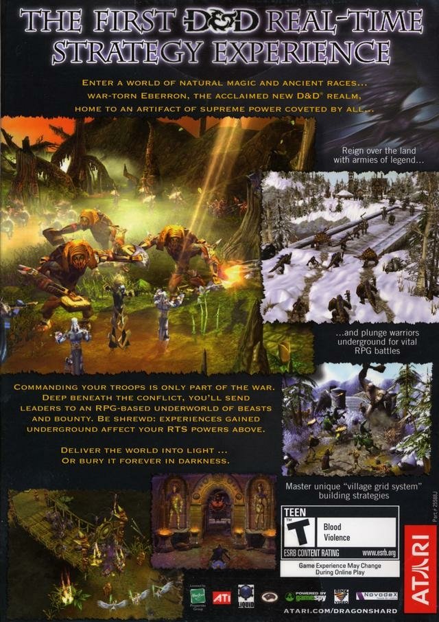 video game Dungeons & Dragons: Dragonshard Image