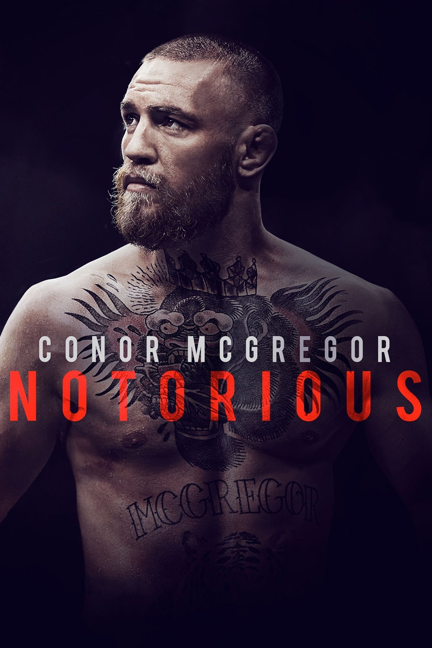 Conor McGregor: Notorious - Desktop Wallpapers, Phone Wallpaper, PFP ...