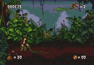 video game Pitfall: The Mayan Adventure Image