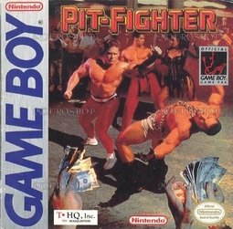 video game Pit-Fighter Image