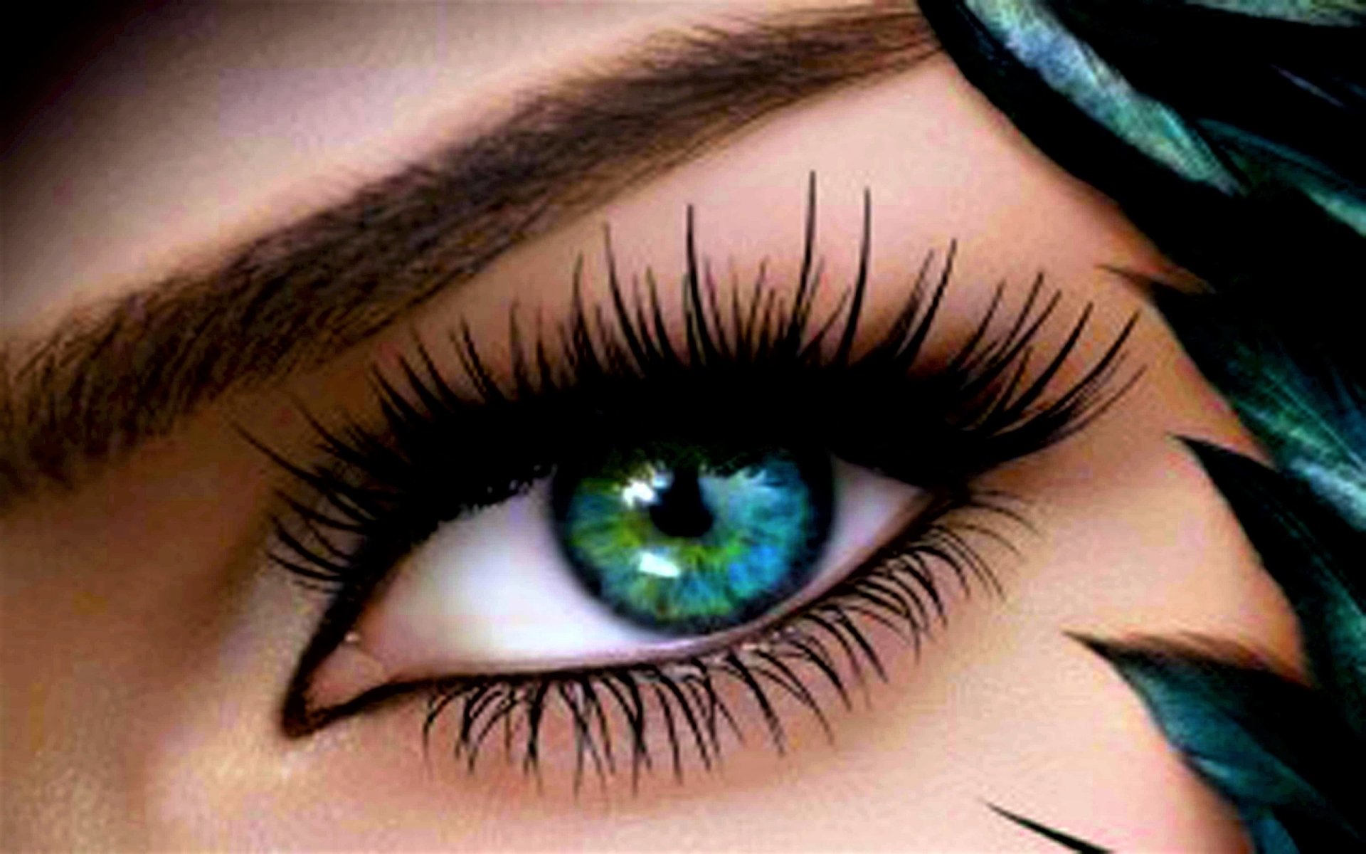 Turquoise Eye Image ID 164826 Image Abyss