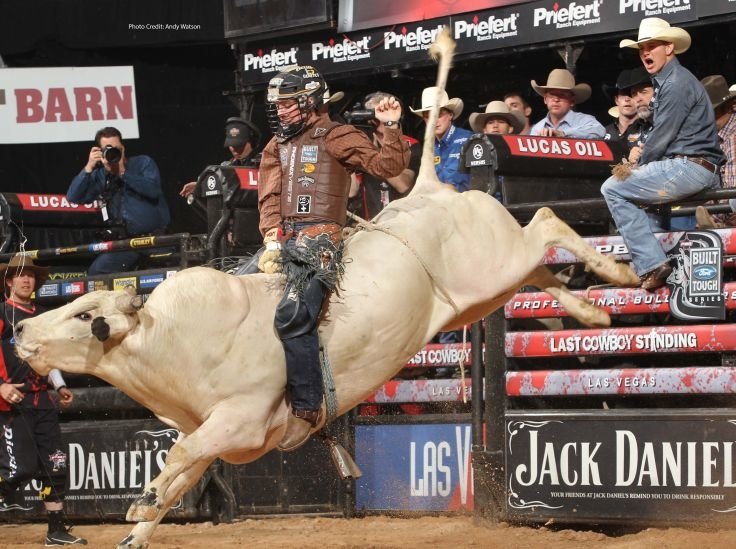 bullriding Sports Image
