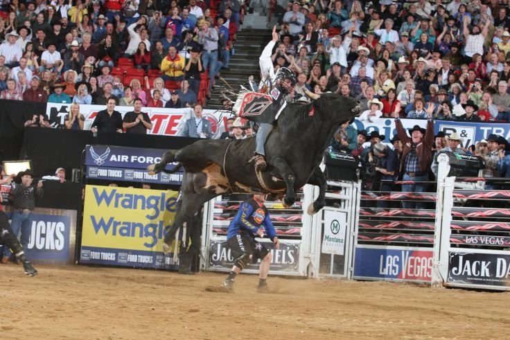 Download Bullriding Sports Image