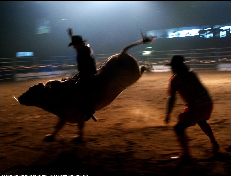 bullriding Sports Image
