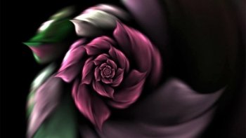 Preview Image 166319
