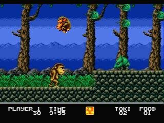 video game Toki: Going Ape Spit Image