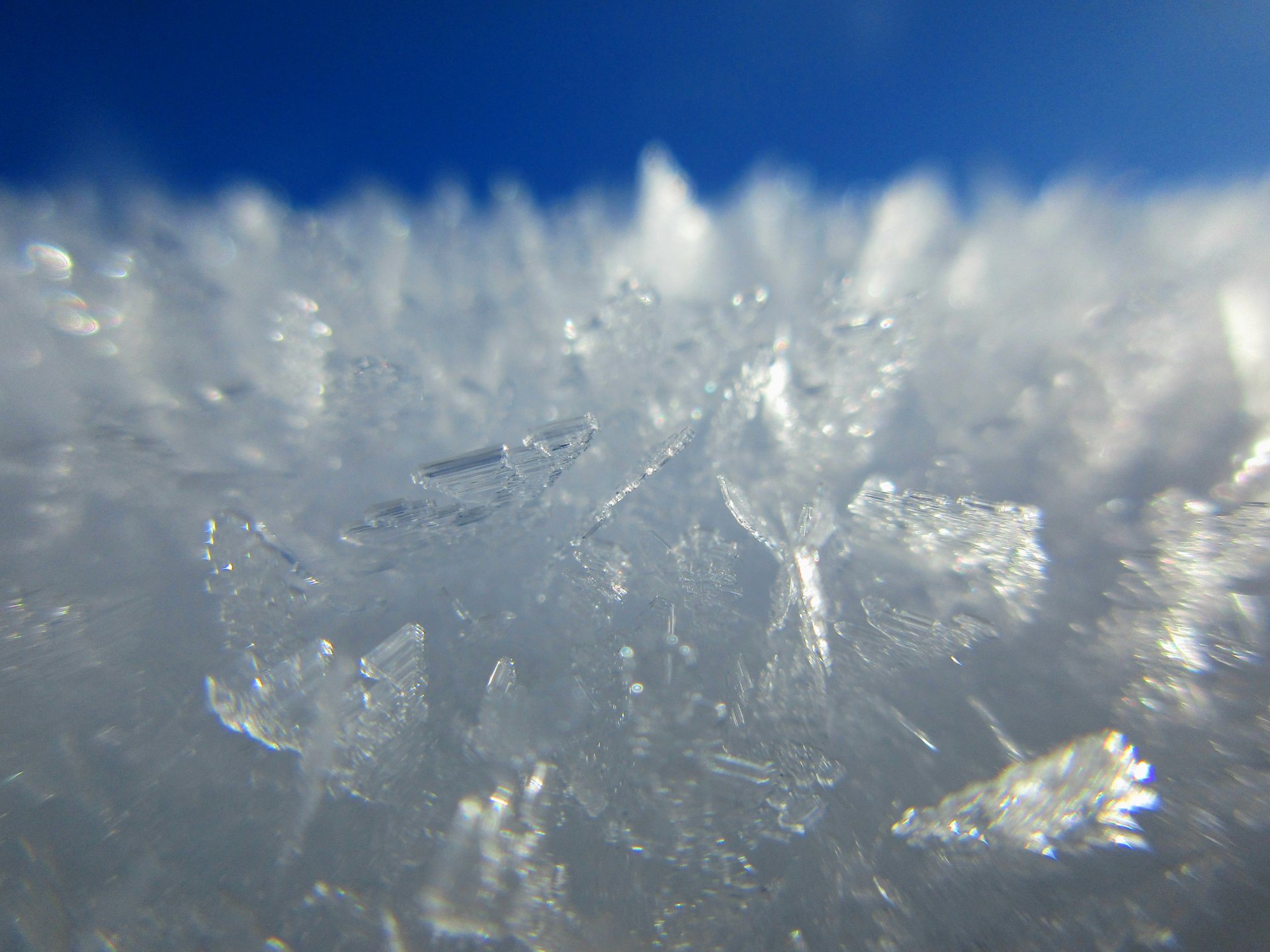 winter snow frost nature ice Image