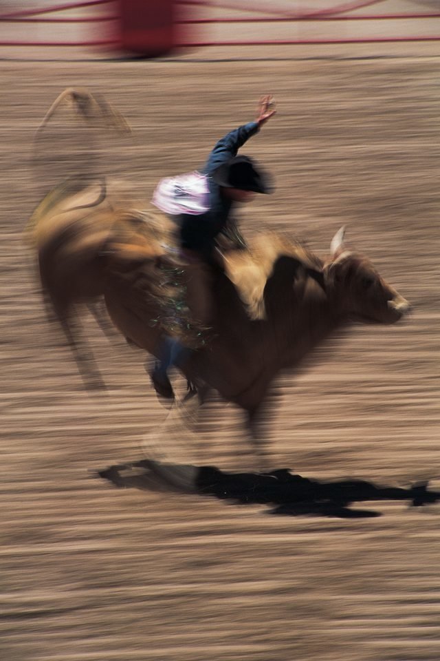 bullriding Sports Image