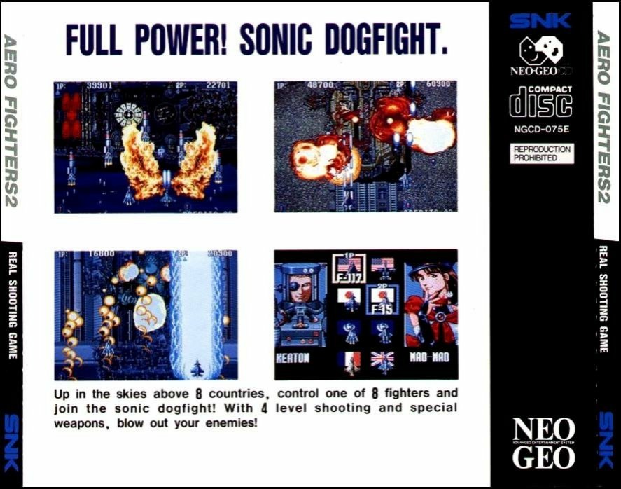 video game Aero Fighters 2 Image