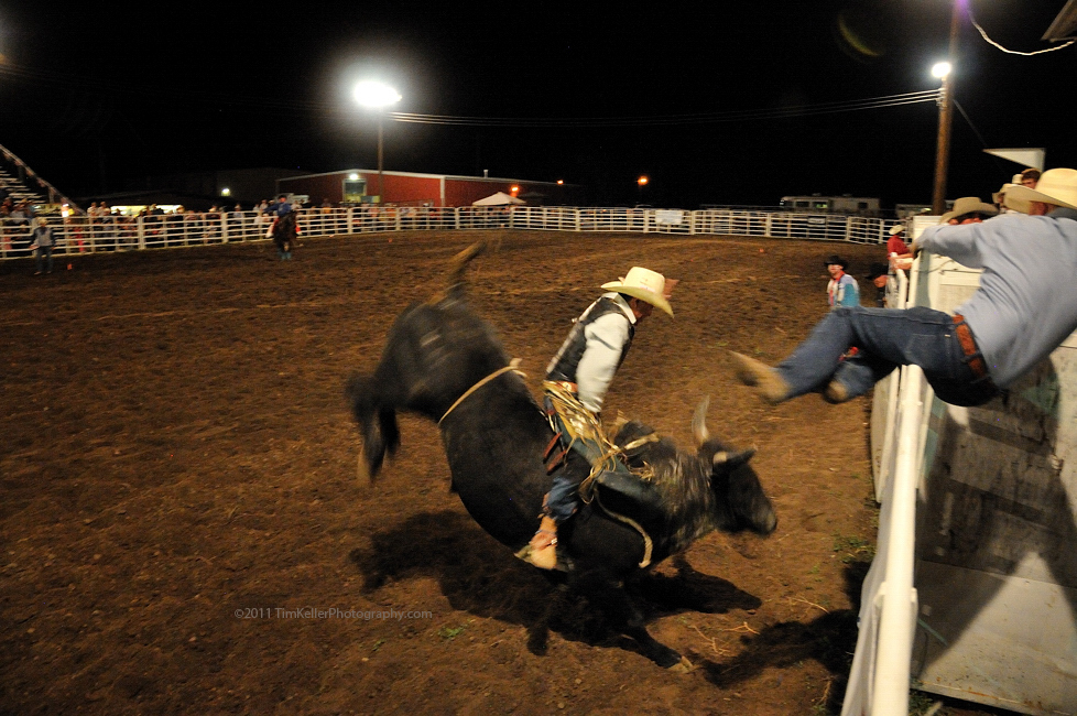 Bullriding Picture Image Abyss