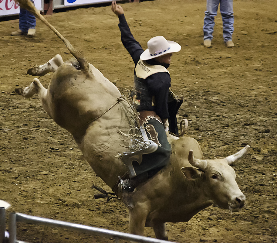 Bullriding Picture Image Abyss