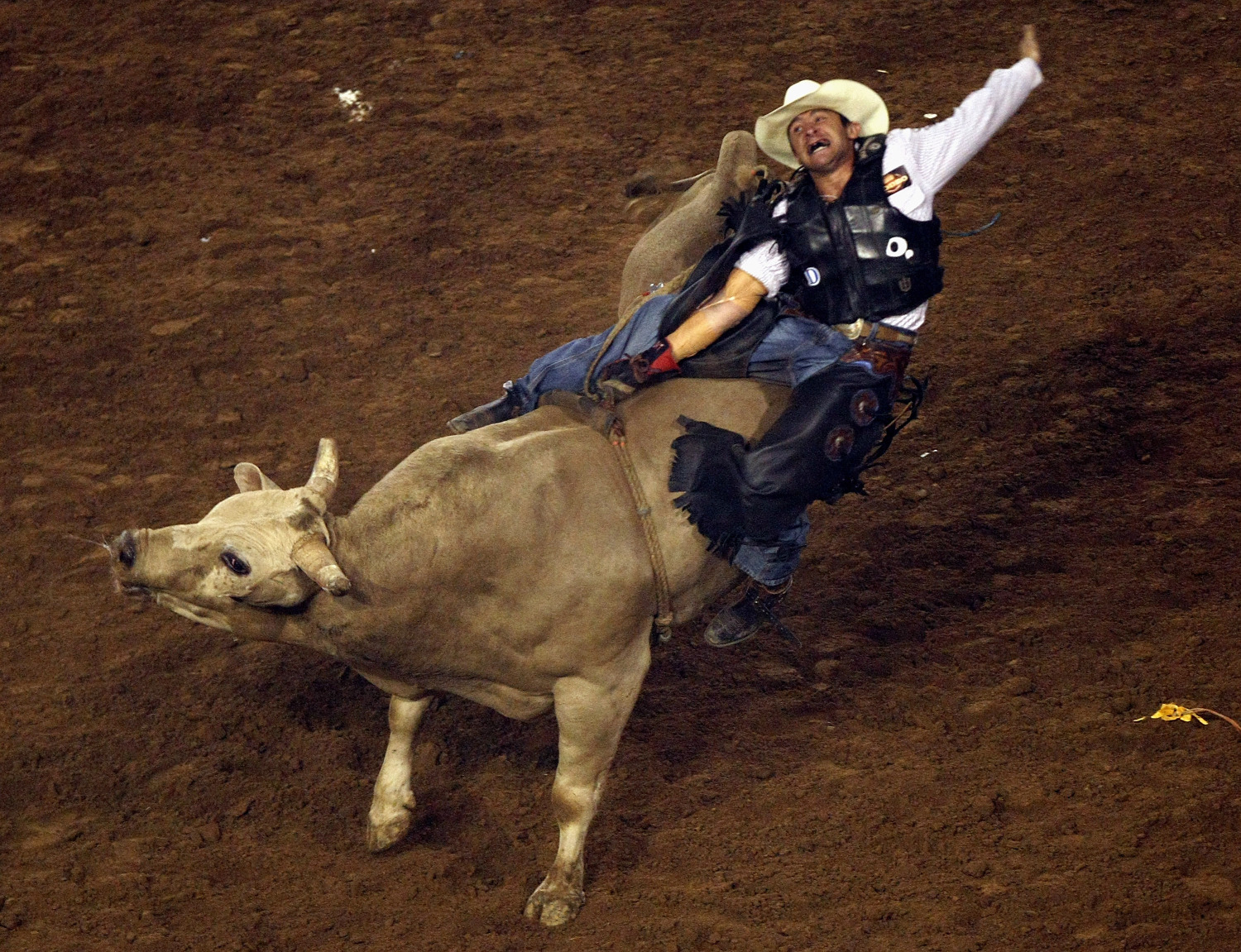 bullriding-picture-image-abyss