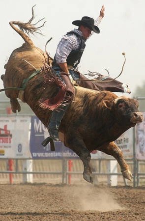 rodeo Sports Image