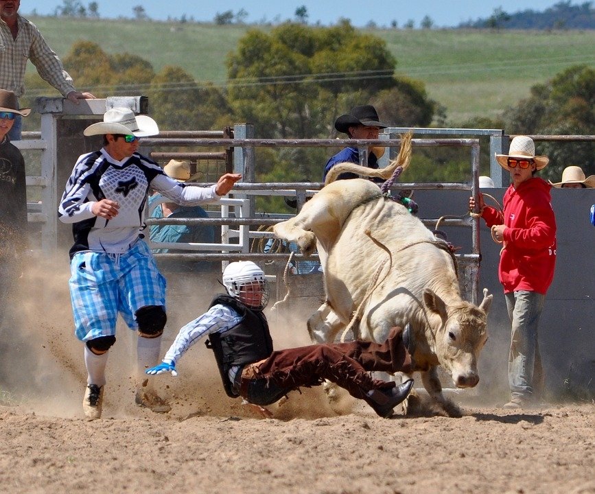 Download Rodeo Sports Image