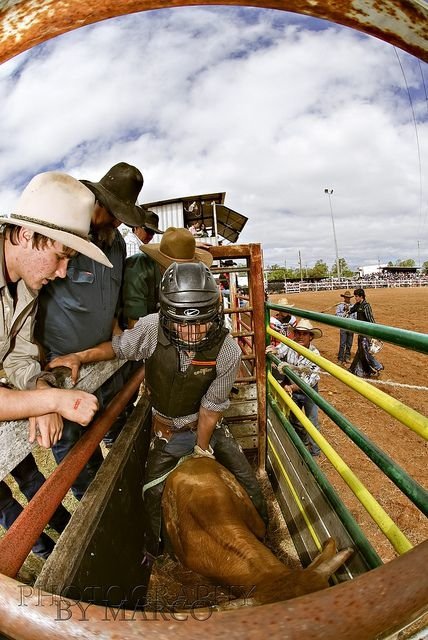 rodeo Sports Image