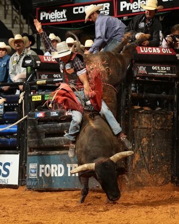 bullriding Sports Image