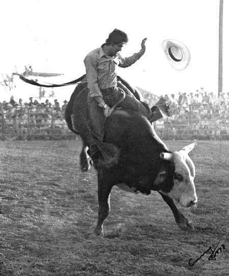 bullriding Sports Image