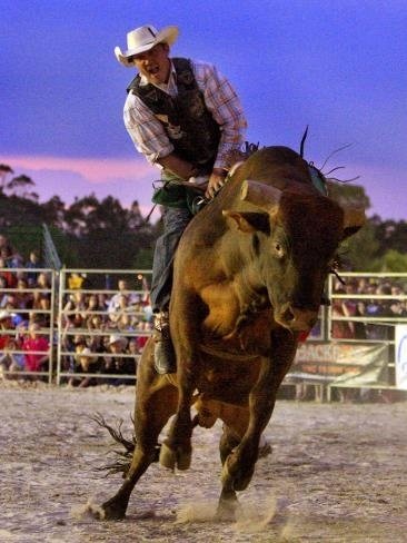 bullriding Sports Image