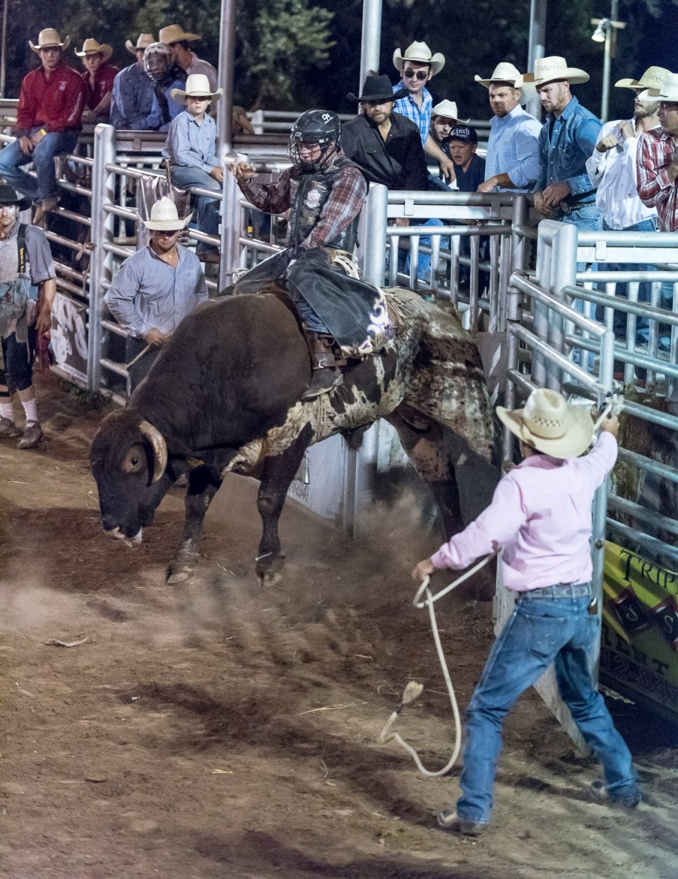 bullriding Sports Image