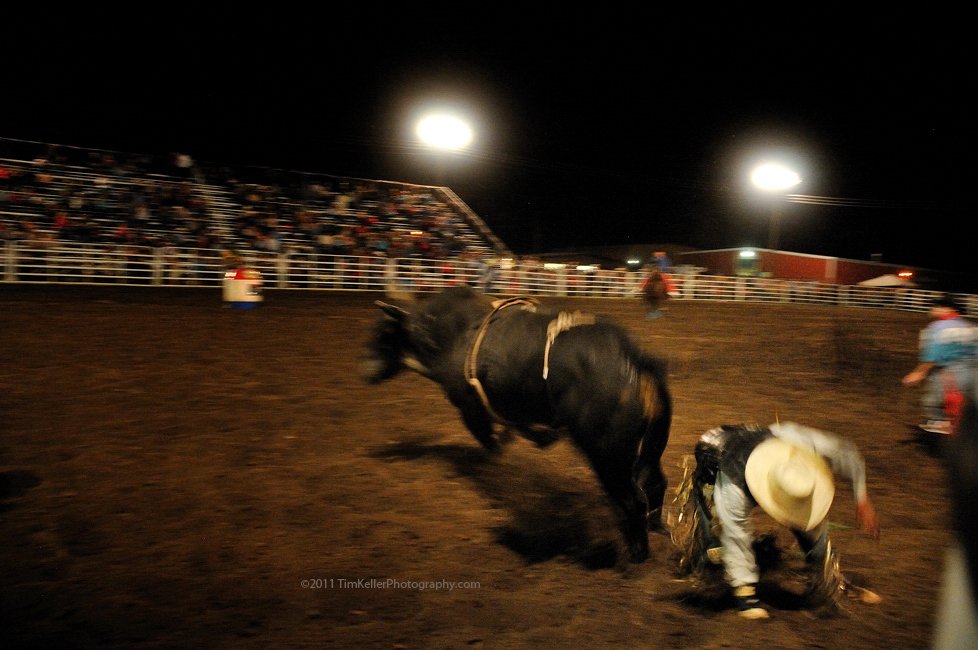 bullriding Sports Image