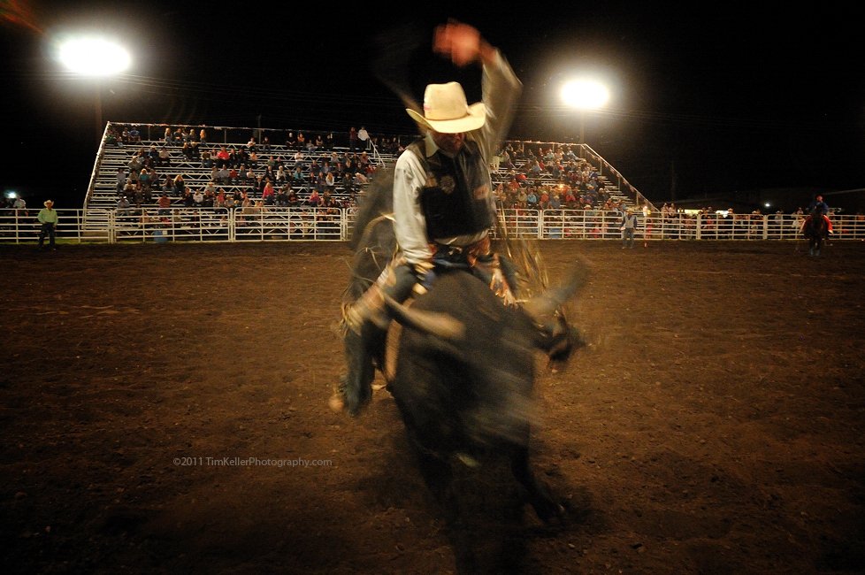 bullriding Sports Image