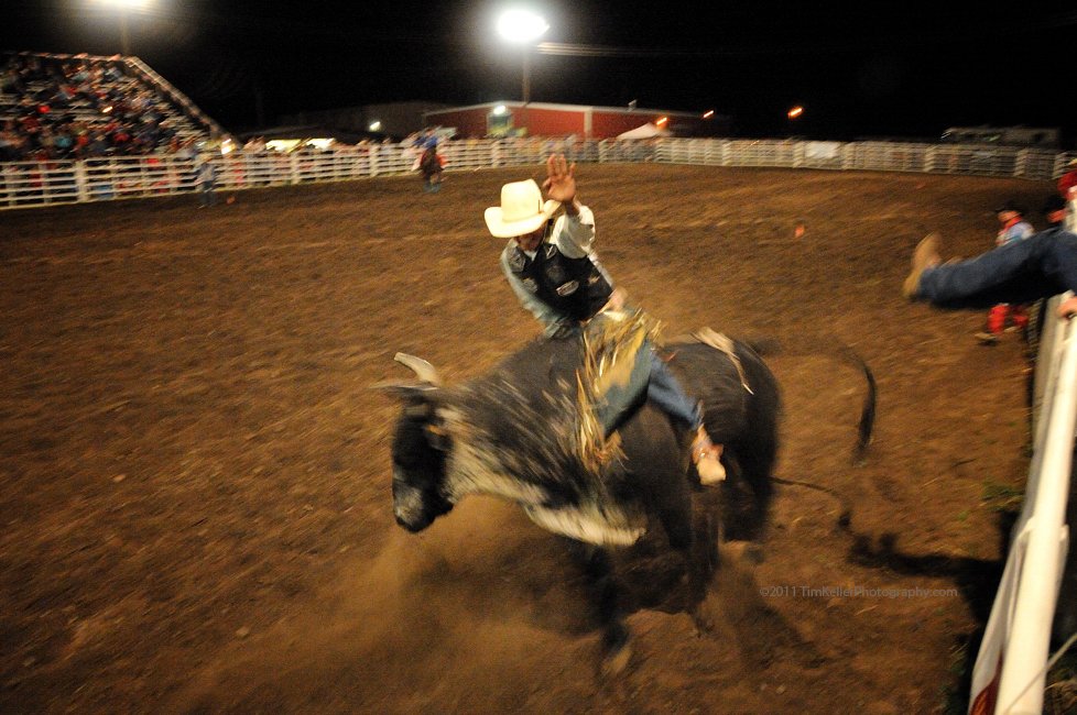 bullriding Sports Image