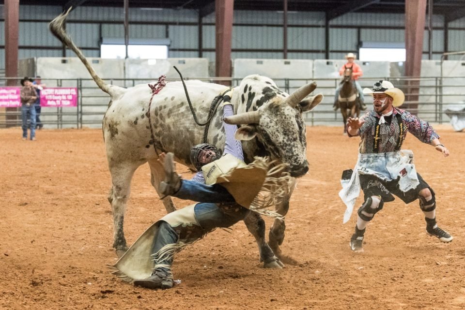 bullriding Sports Image