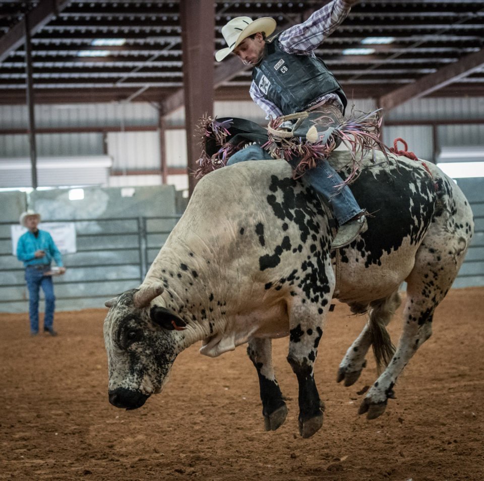 bullriding Sports Image