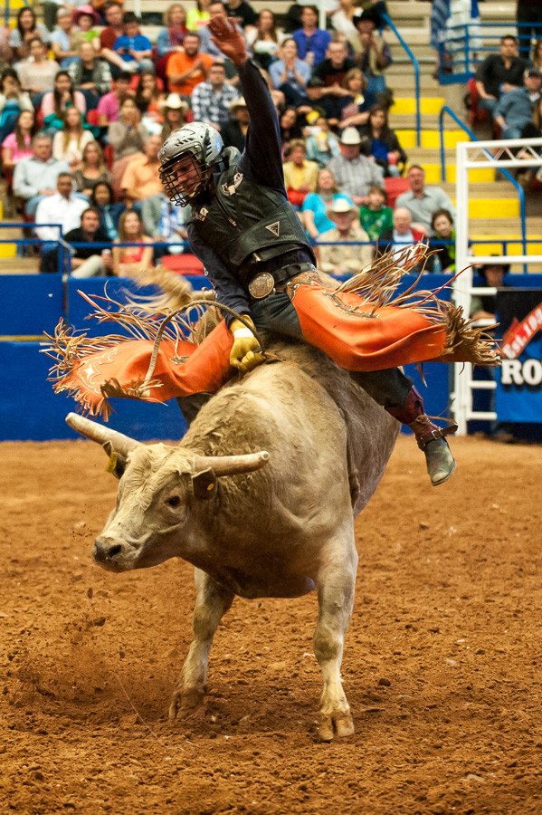 bullriding Sports Image
