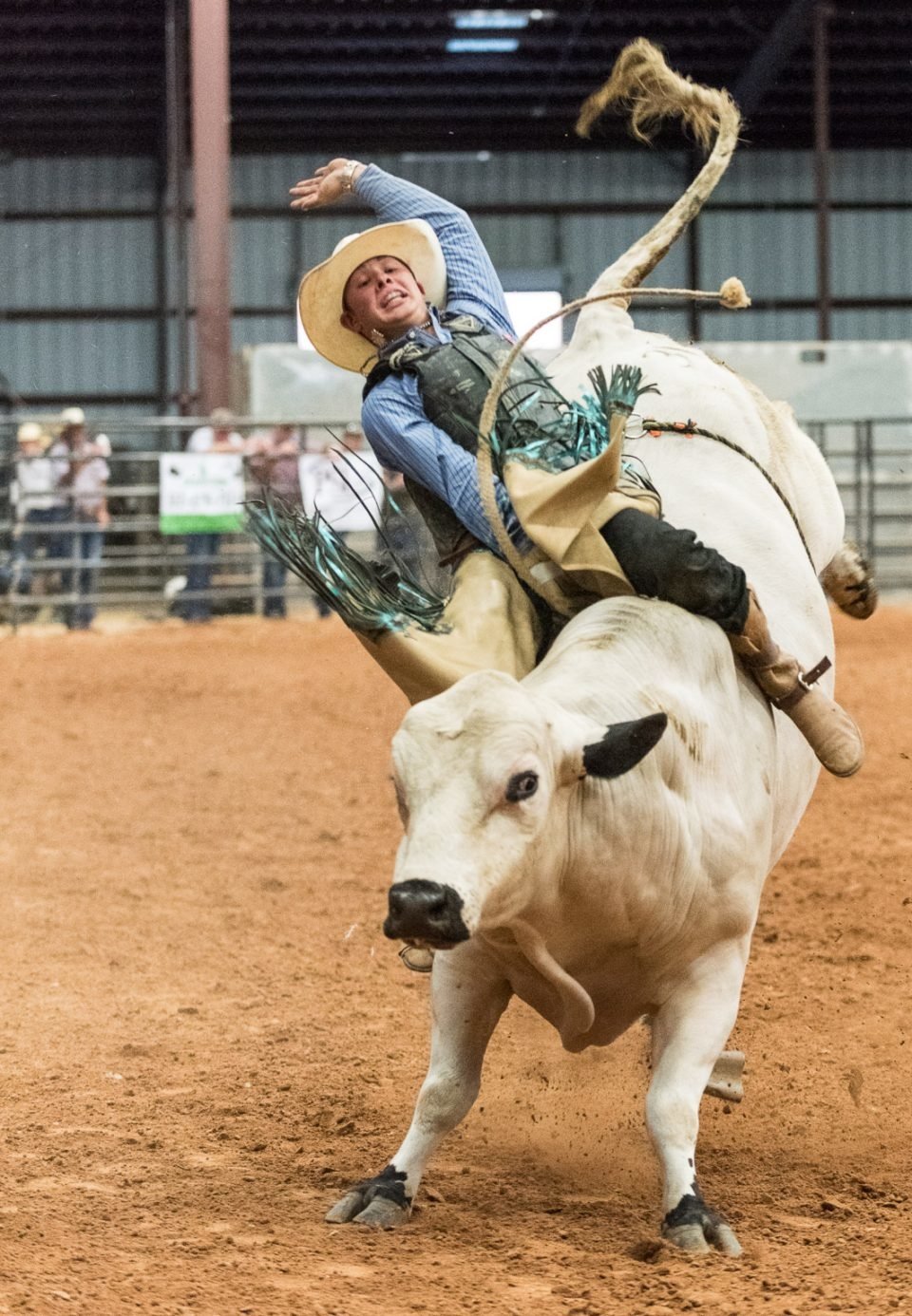bullriding Sports Image