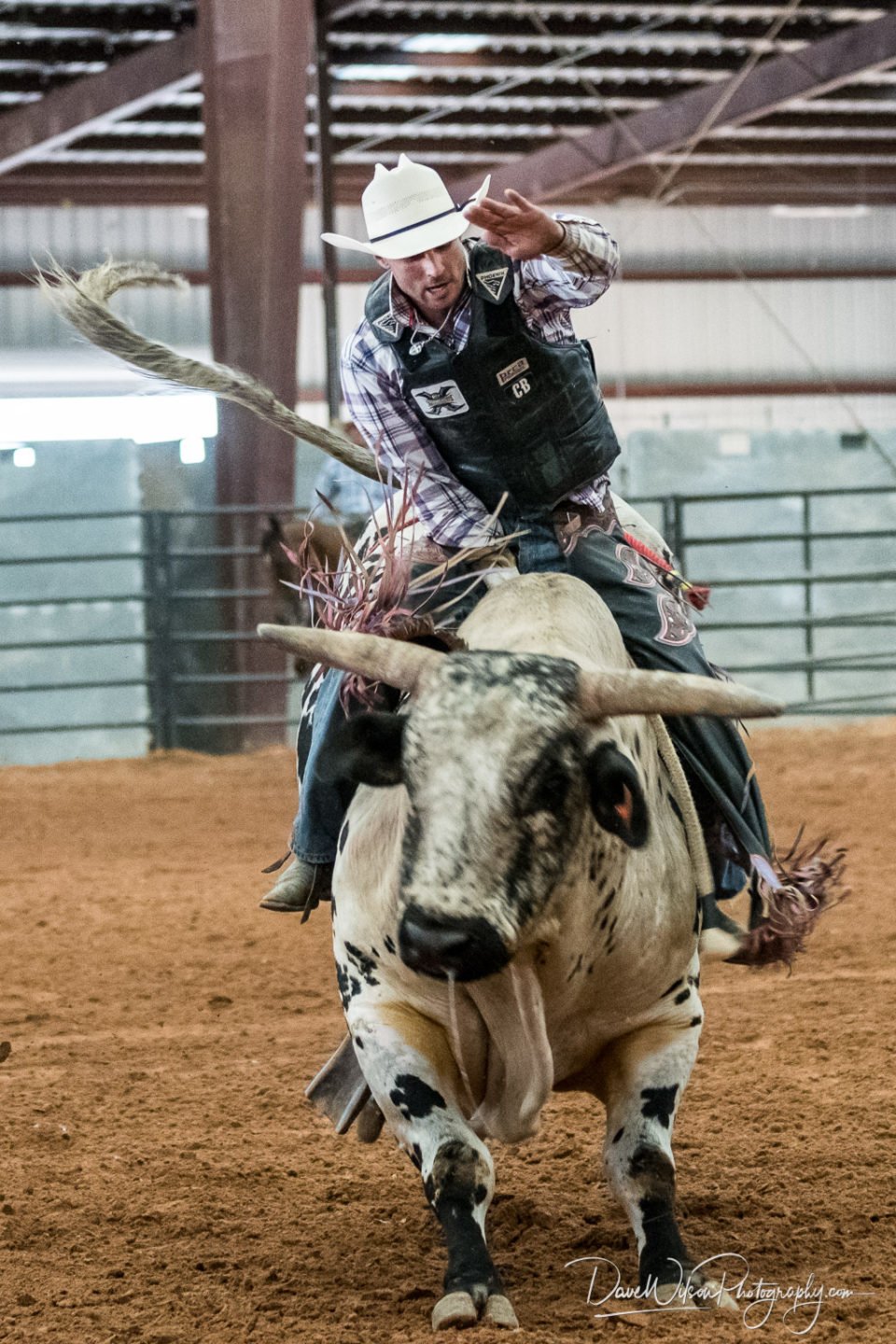 bullriding Sports Image