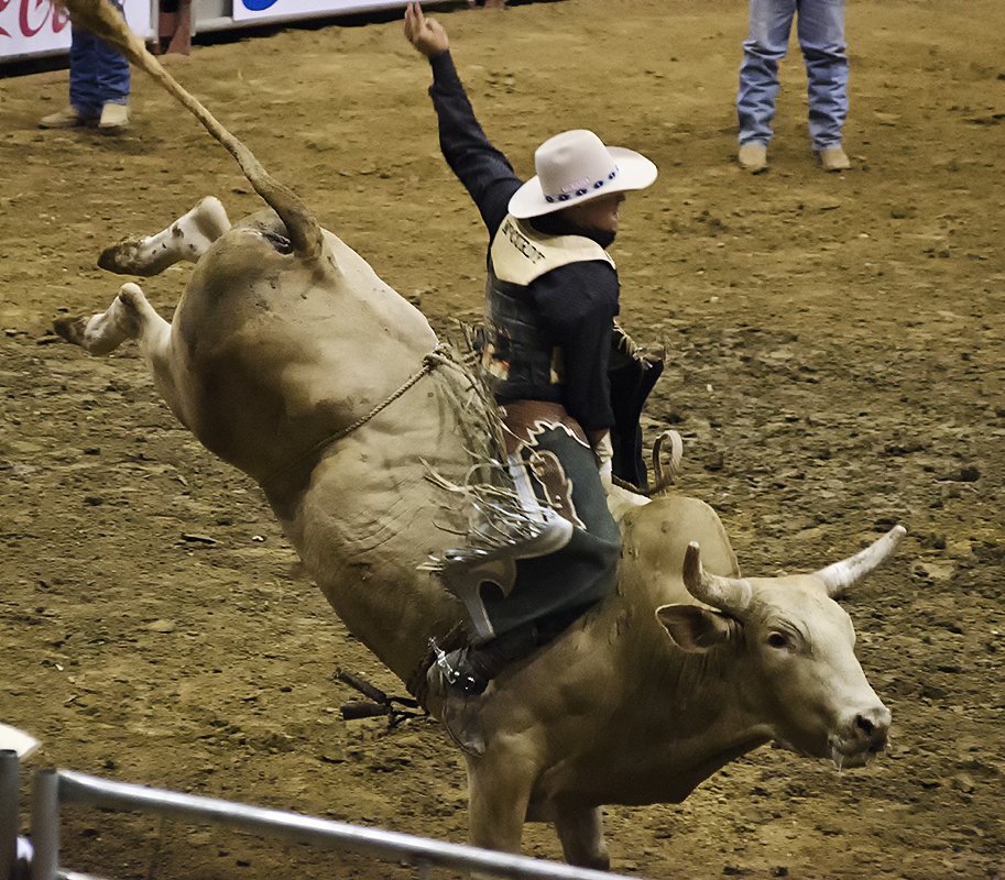 bullriding Sports Image