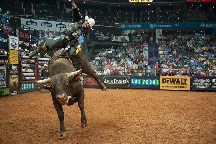 bullriding Sports Image
